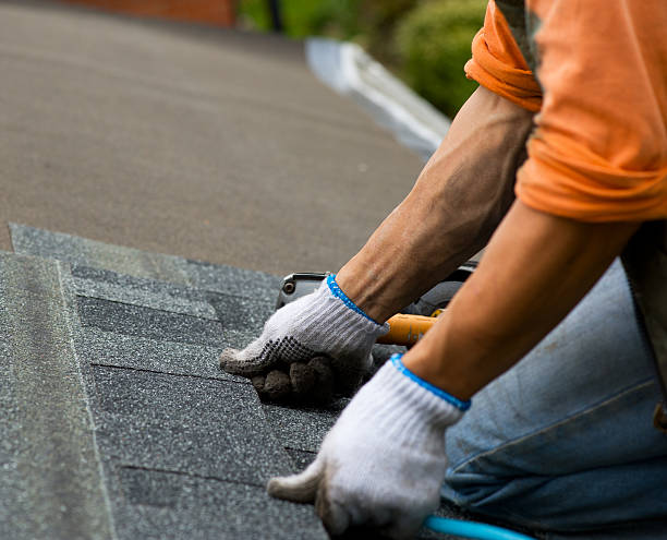Best Local Roofing Companies  in Fulton, MS